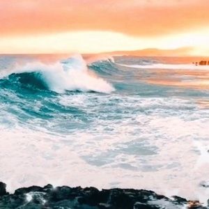 Meet your Posher, Noella